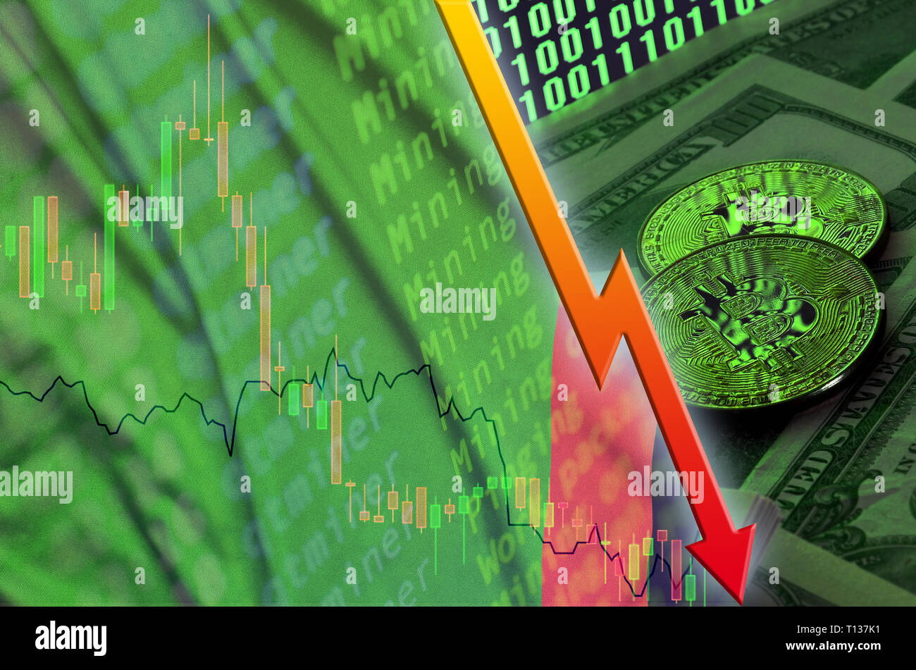 Official Flag Of Zambia Stock Photos Official Flag Of Zambia Stock - 